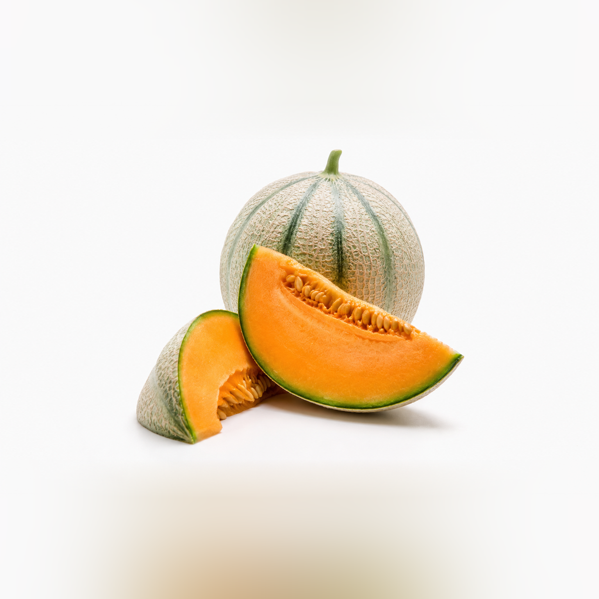 Charentaismelon Salomon F1