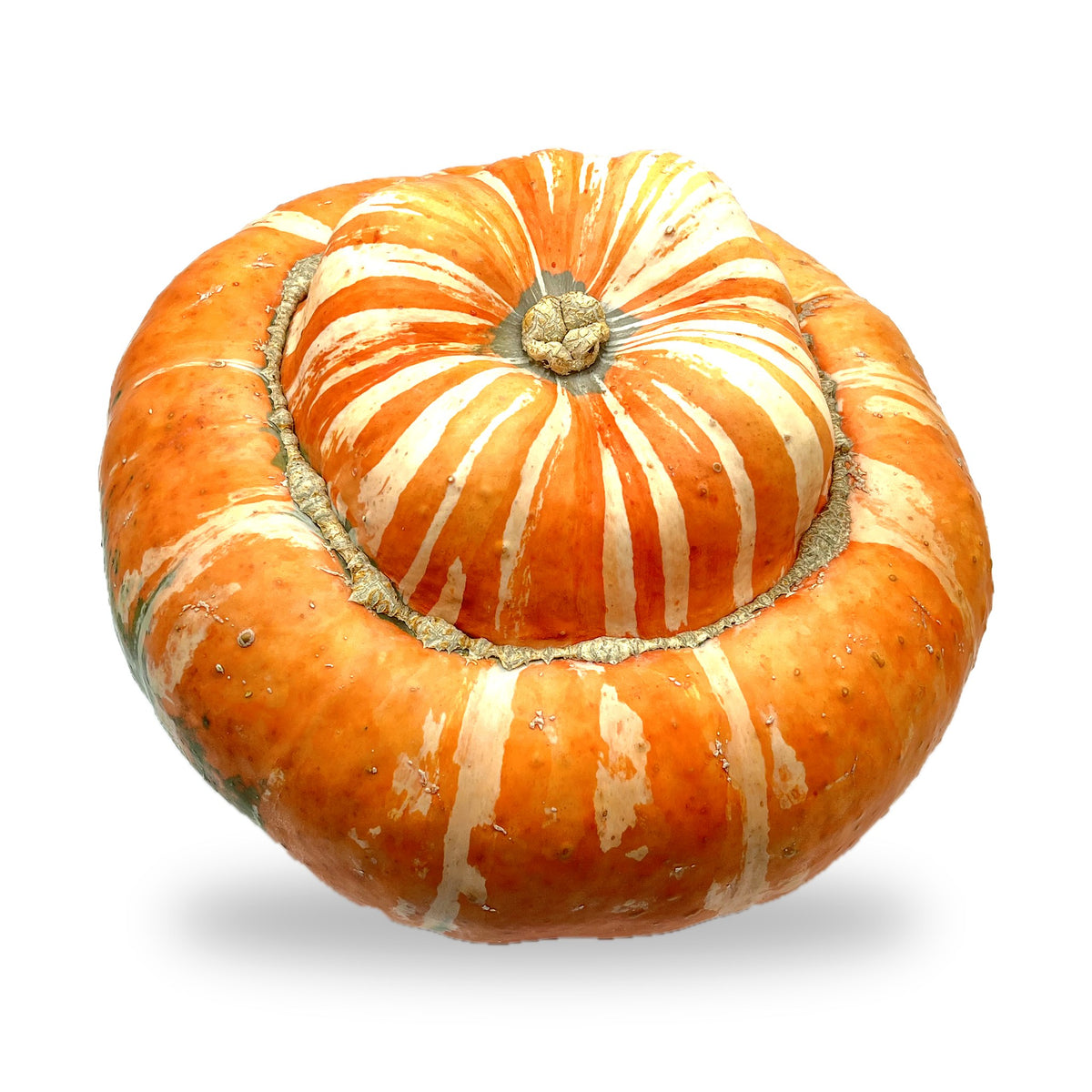 Pumpa Turks Turban från sidan